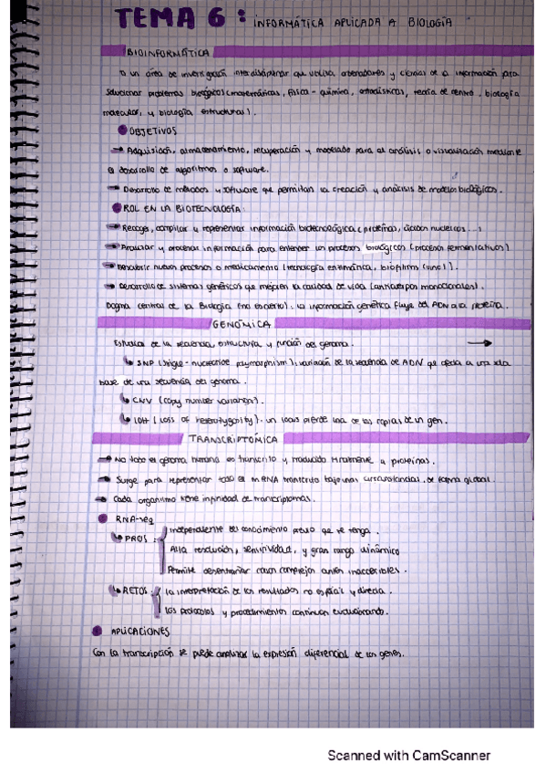 Miniatura del documento tema-6.pdf