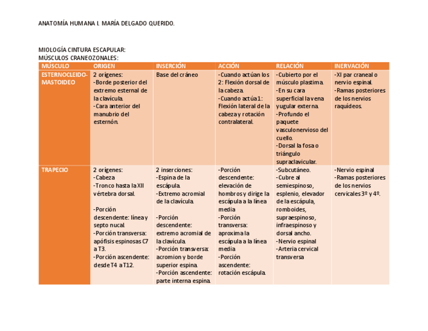 Miniatura del documento TABLA-MUSCULOS-MS.pdf