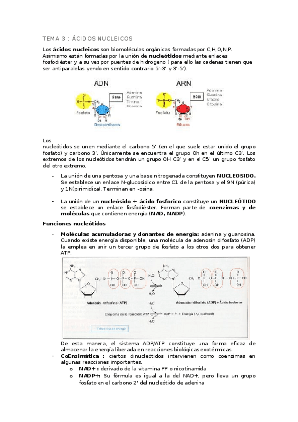 Miniatura del documento APUNTES-DE-GENETICA.docx