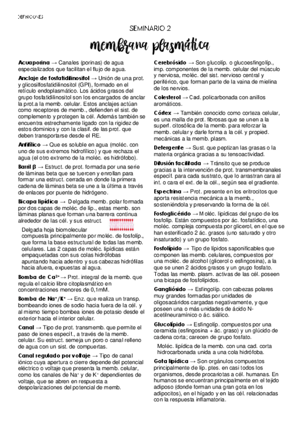 Miniatura del documento Definiciones-seminarios.pdf