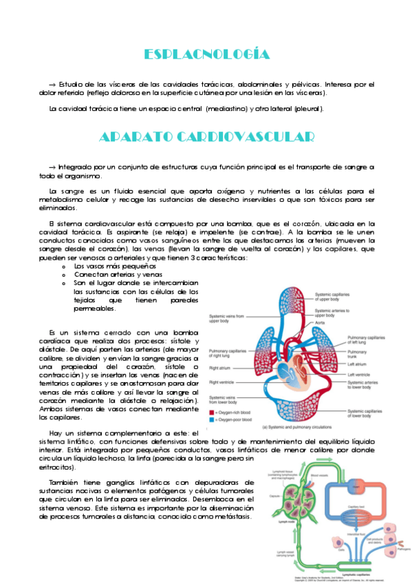 Miniatura del documento Tema-1-Sistema-Cardiovascular.pdf