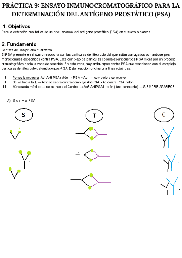 Miniatura del documento PRACTICA-N-9-BIOQUIMICA.pdf