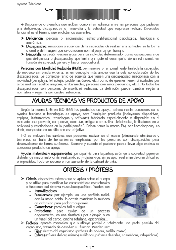 Miniatura del documento Ayudas-Tecnicas.pdf