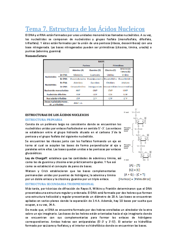 Miniatura del documento Biologia molecular.pdf