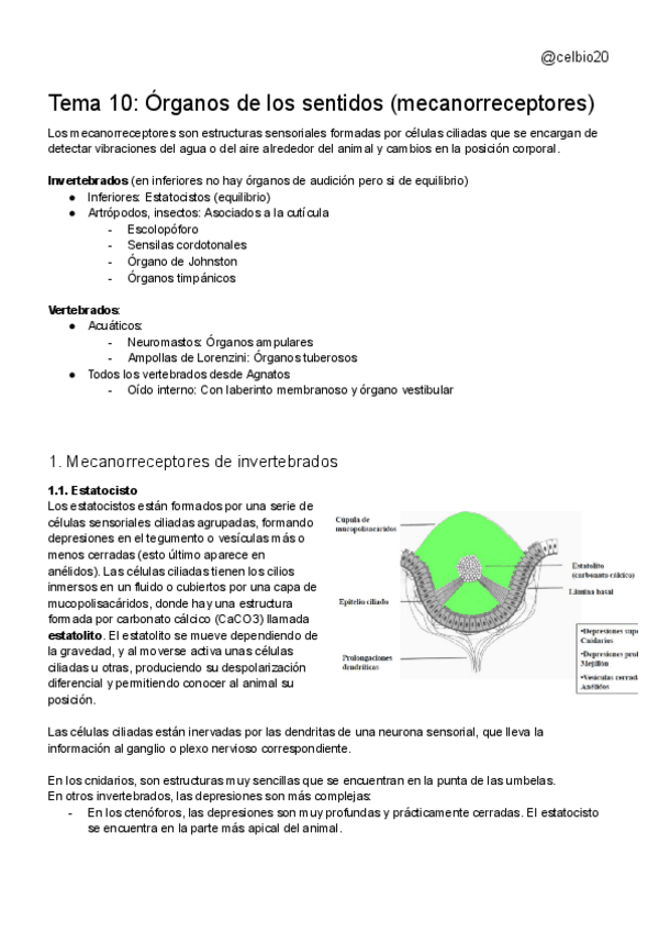 Miniatura del documento tema-10.pdf