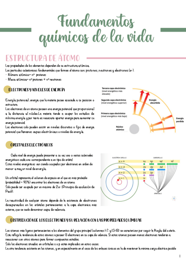 Miniatura del documento T1-Fundamentos-quimicos-de-la-vida-.pdf