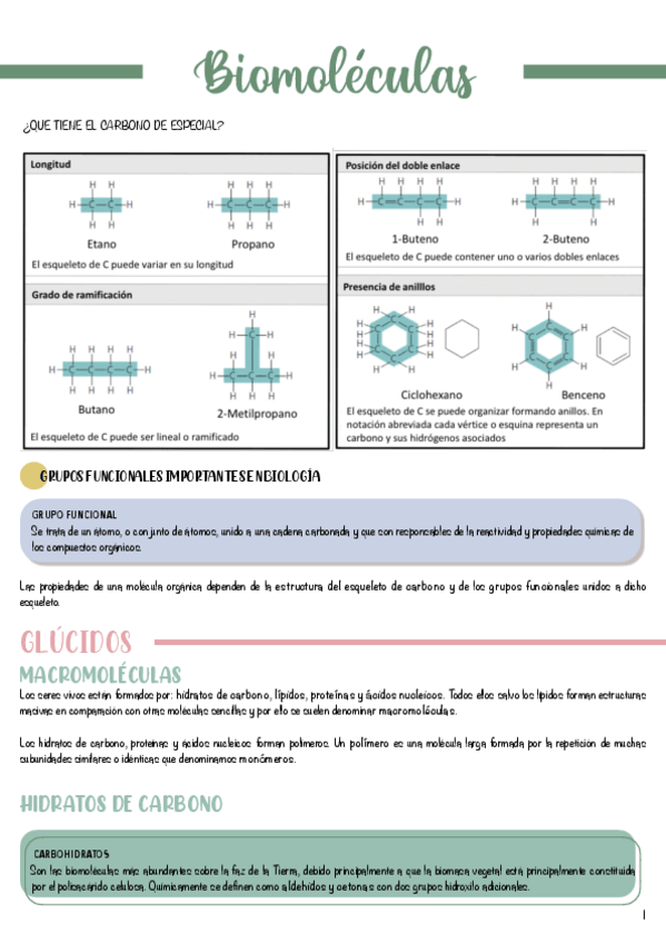 Miniatura del documento T2-Biomoleculas-.pdf