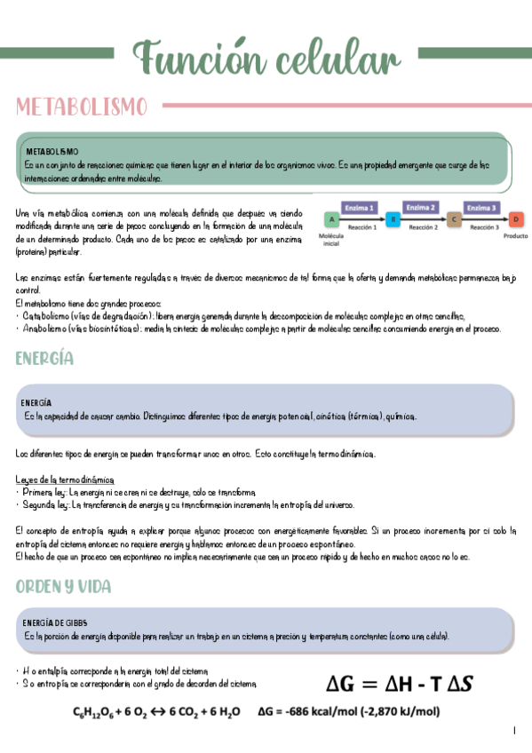 Miniatura del documento T3-Funcion-celular.pdf