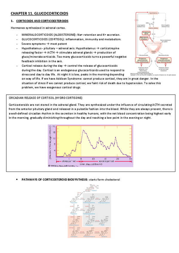 Miniatura del documento CHAPTER-11.pdf