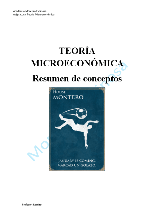 Miniatura del documento apuntes-teoria-micro.pdf