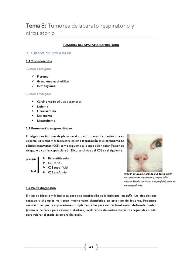 Miniatura del documento Tema-8.pdf