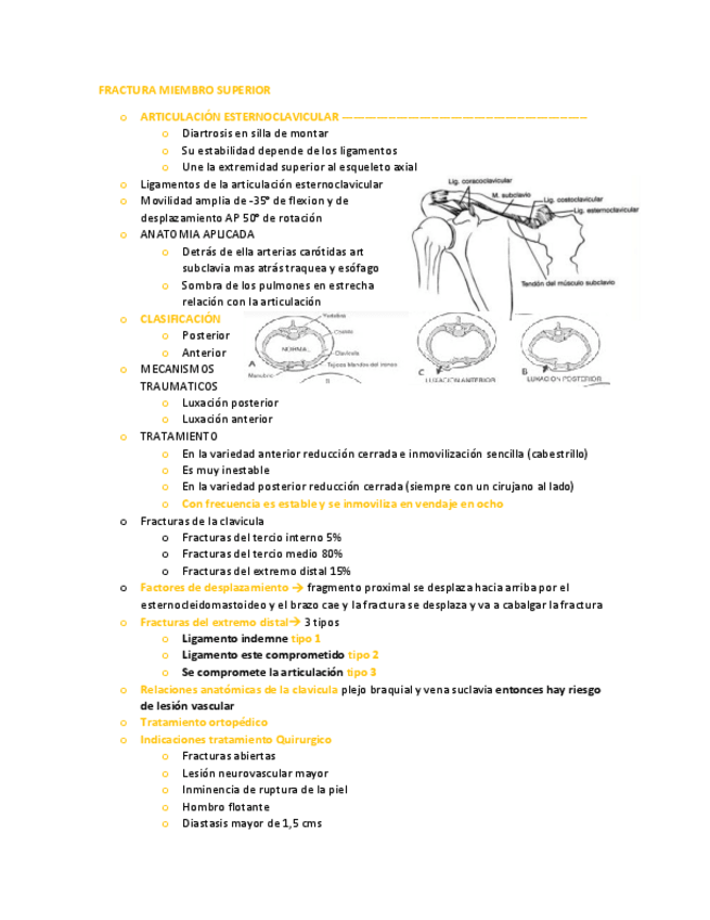 Miniatura del documento FRACTURA-MIEMBRO-SUPERIOR.pdf