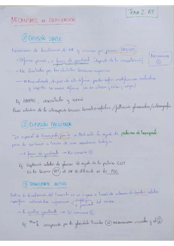 Miniatura del documento MECANISMOS-DE-LOCALIZACION-T.pdf