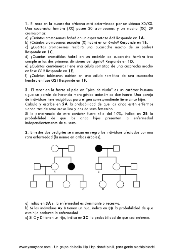Miniatura del documento EXAM GENETIC QUESTION.pdf