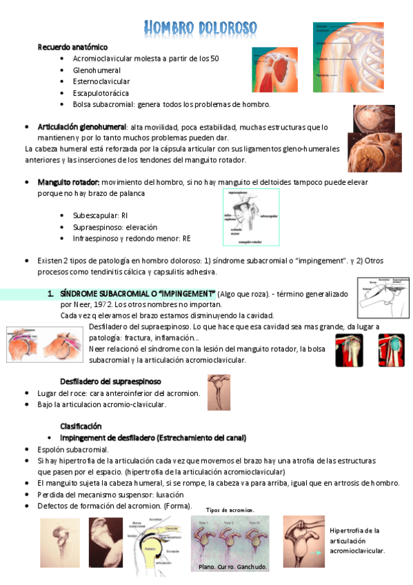 Miniatura del documento miembro-superior-trauma.pdf