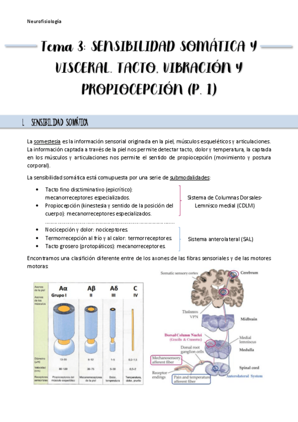 Miniatura del documento Resumen-Tema-3.pdf