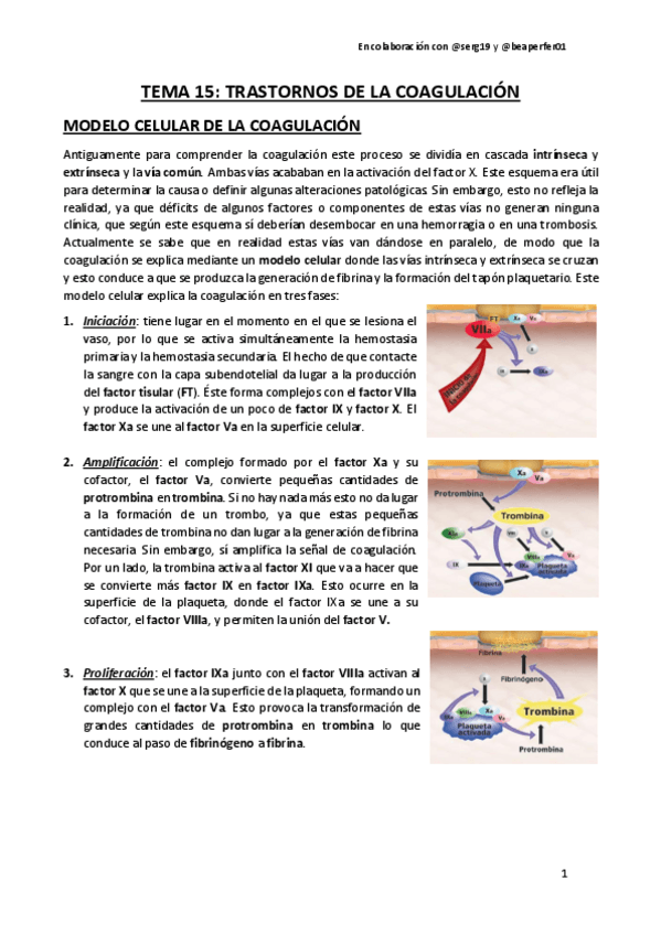 Miniatura del documento TEMA-15.pdf