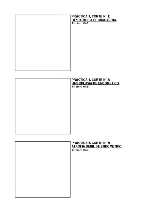 Miniatura del documento plantillacuadernilloAPTITULOS.pdf