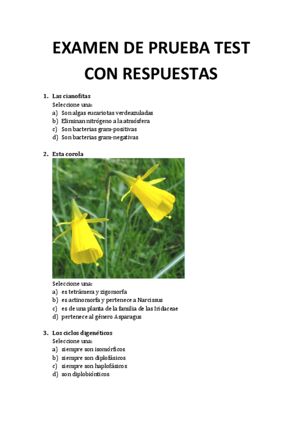 Miniatura del documento examen de prueba con respuestas.pdf
