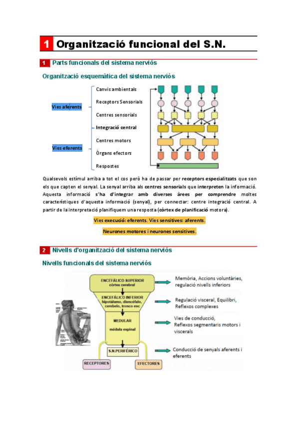 Miniatura del documento fisio.pdf