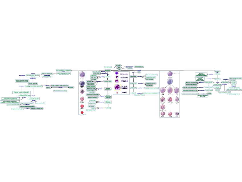 Miniatura del documento laboratorio.pdf