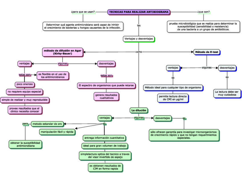 Miniatura del documento Tecnicas-para-realizar-antibiograma.pdf