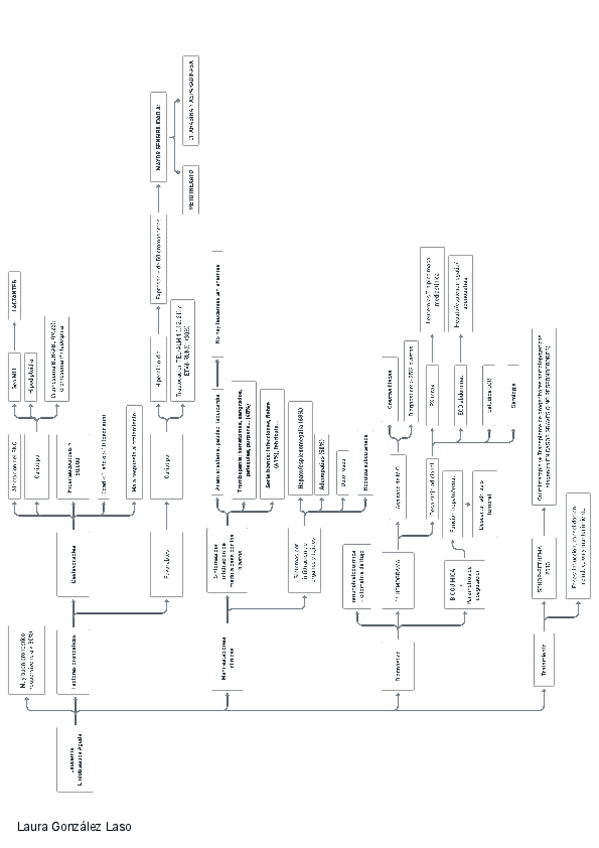 Miniatura del documento Leucemias-linfoblasticas-agudas.pdf