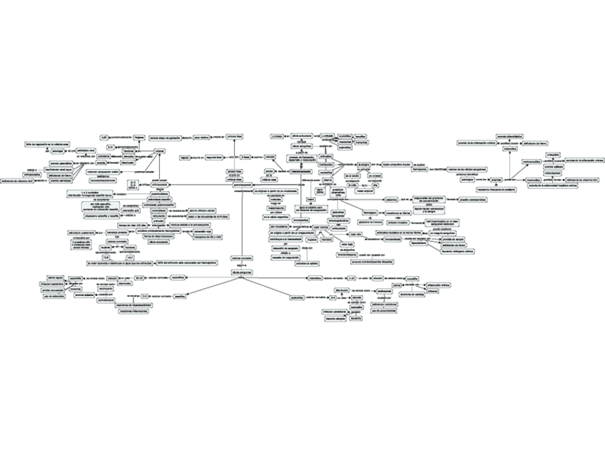 Miniatura del documento hematopoyesis.pdf