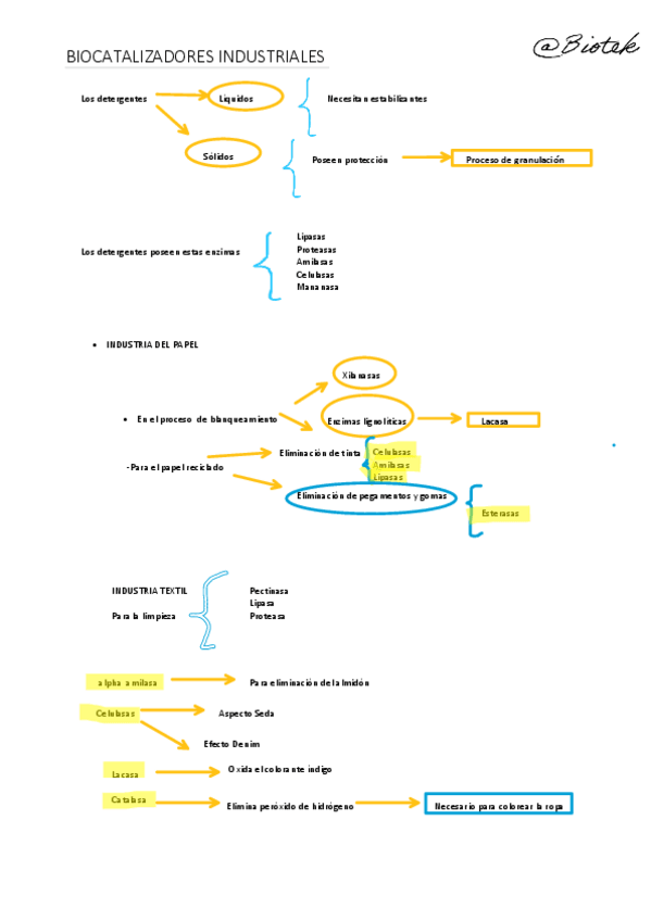 Miniatura del documento Esquema  de enzimas industriales (Útil para estudiar).pdf