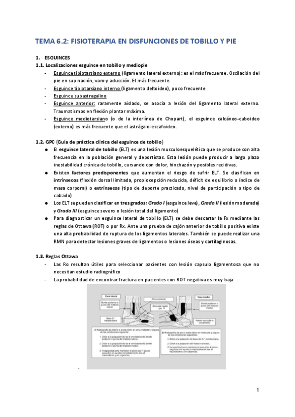 Miniatura del documento Tema-6.pdf