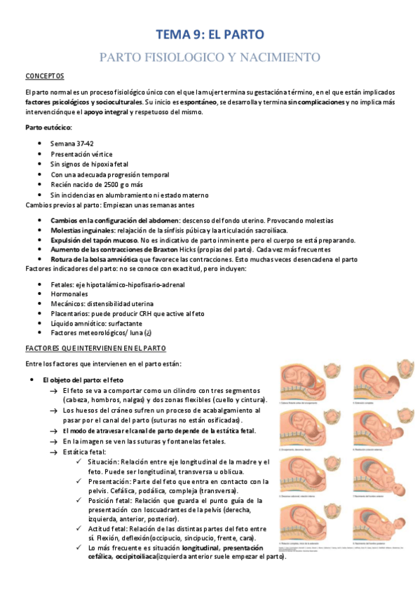 Miniatura del documento TEMA-9-PARTO.pdf