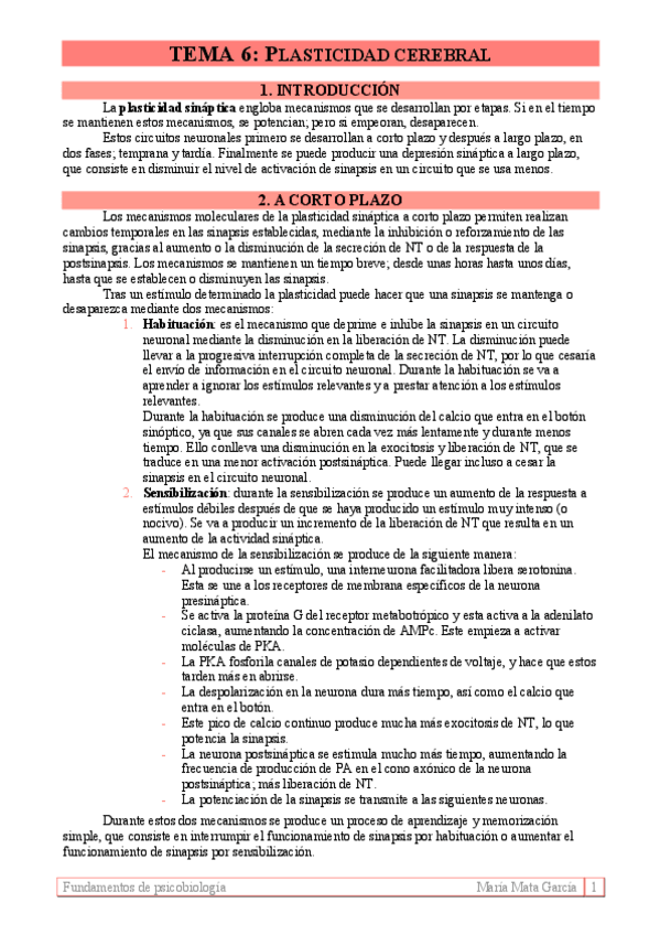 Miniatura del documento TEMA 6. Plasticidad cerebral