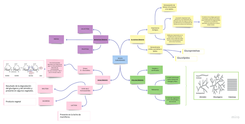 Miniatura del documento Concept-Map-1.jpg
