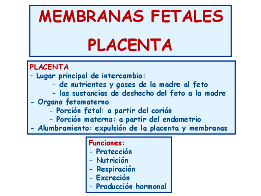 Miniatura del documento TEMA-16-MEMBRANAS-FETALES-PLACENTA.pdf