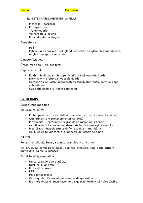 Miniatura del documento EL-SISTEMA-TEGUMENTARI.docx