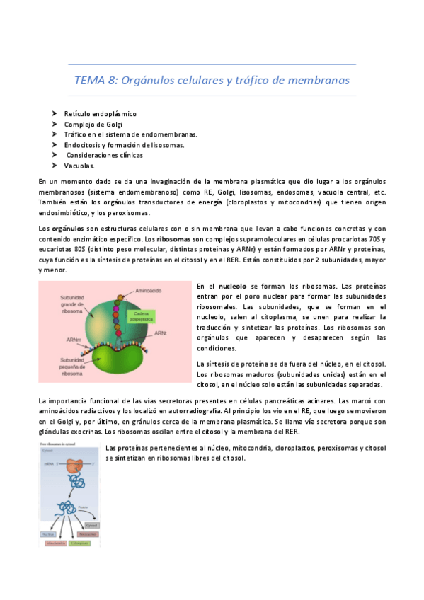 Miniatura del documento TEMA-8-21-22.pdf