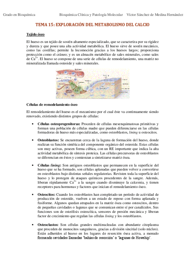 Miniatura del documento Tema 15. Exploración del metabolismo del calcio VSM.pdf