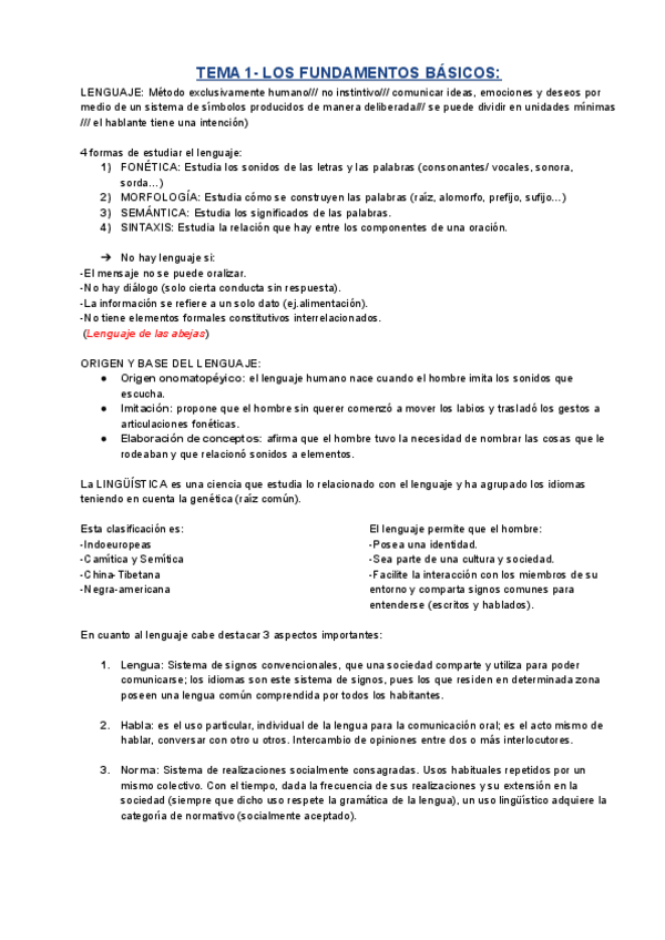 Miniatura del documento RESUMEN-CASTE-T.pdf