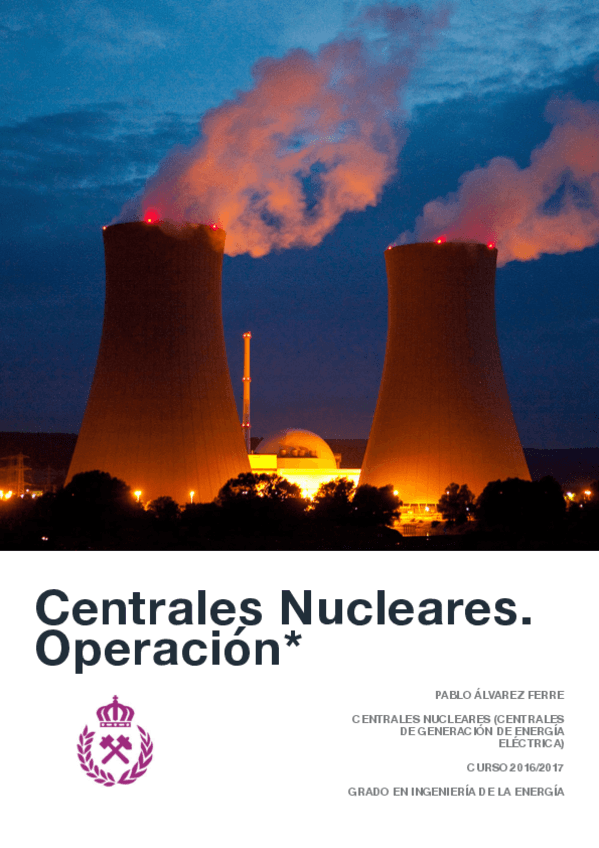 Miniatura del documento CENTRALES NUCLEARES.pdf
