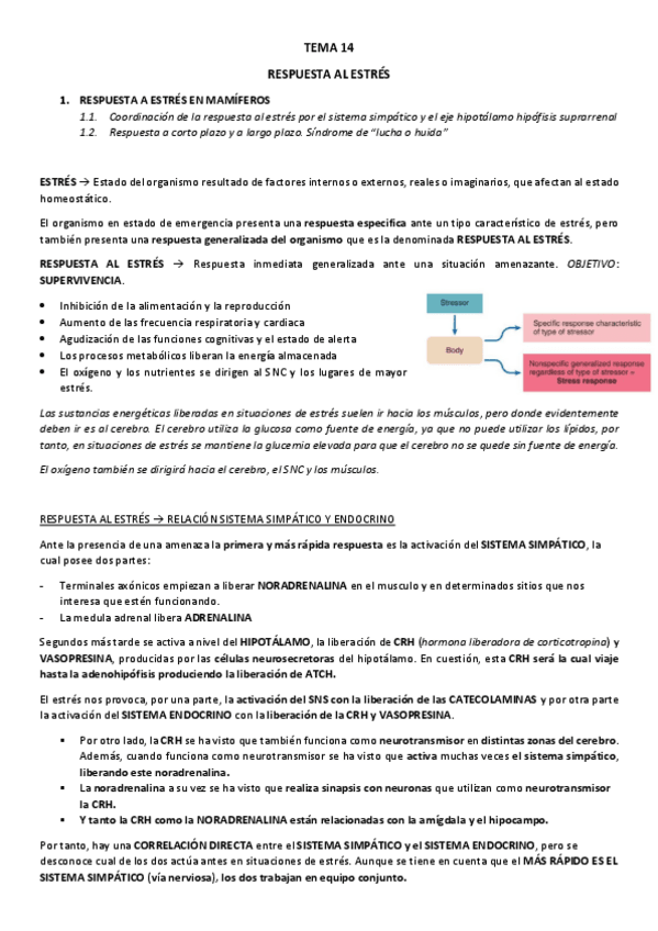 Miniatura del documento TEMAS-14-15.pdf