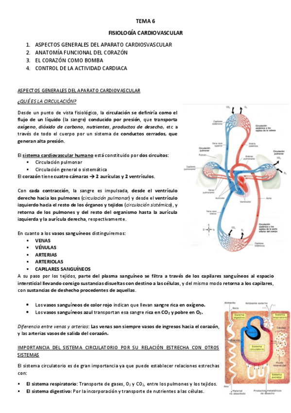 Miniatura del documento TEMA-6-13.pdf