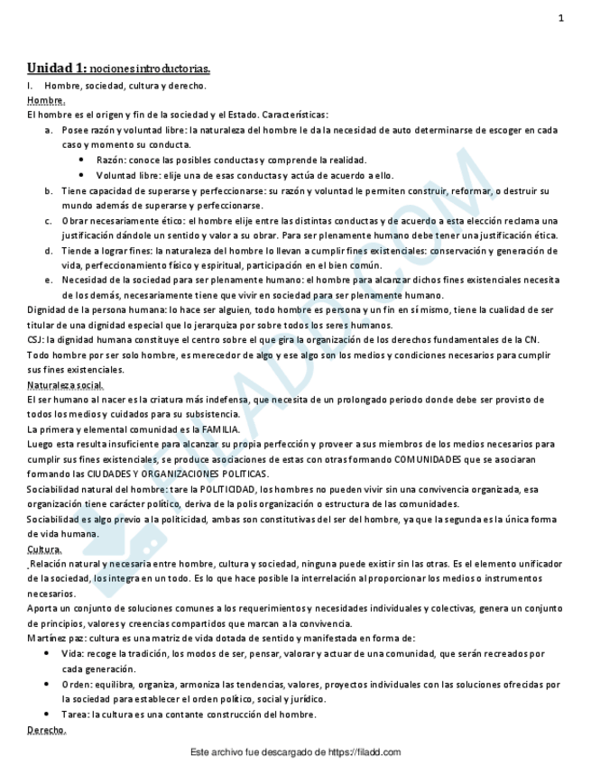 Miniatura del documento Final-Constitucional-1.pdf