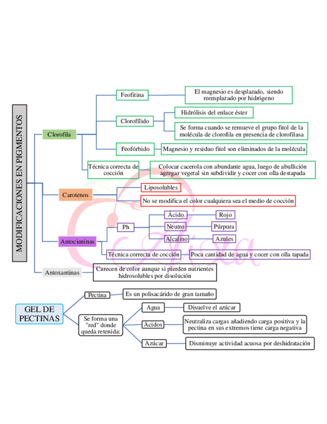 Miniatura del documento 4-Modificacion-en-pigmentos-y-gel-de-pectinas.pdf