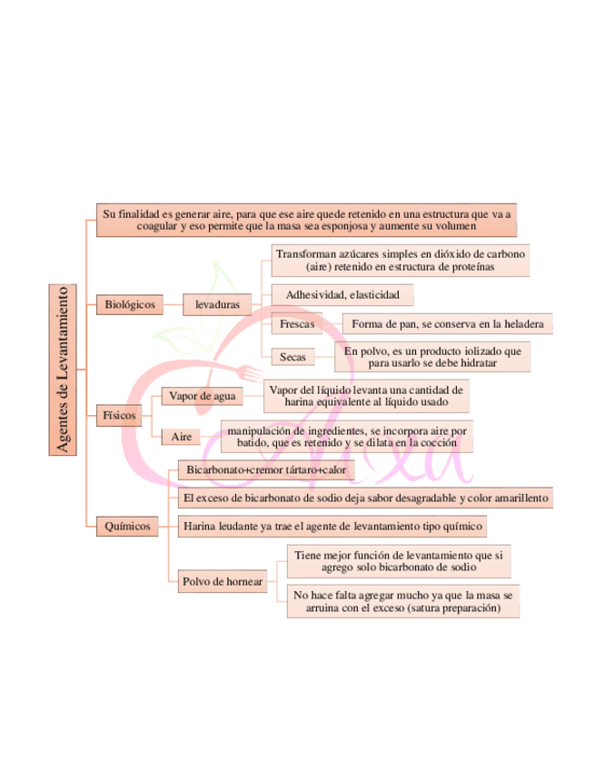 Miniatura del documento 9-agente-levantamiento.pdf