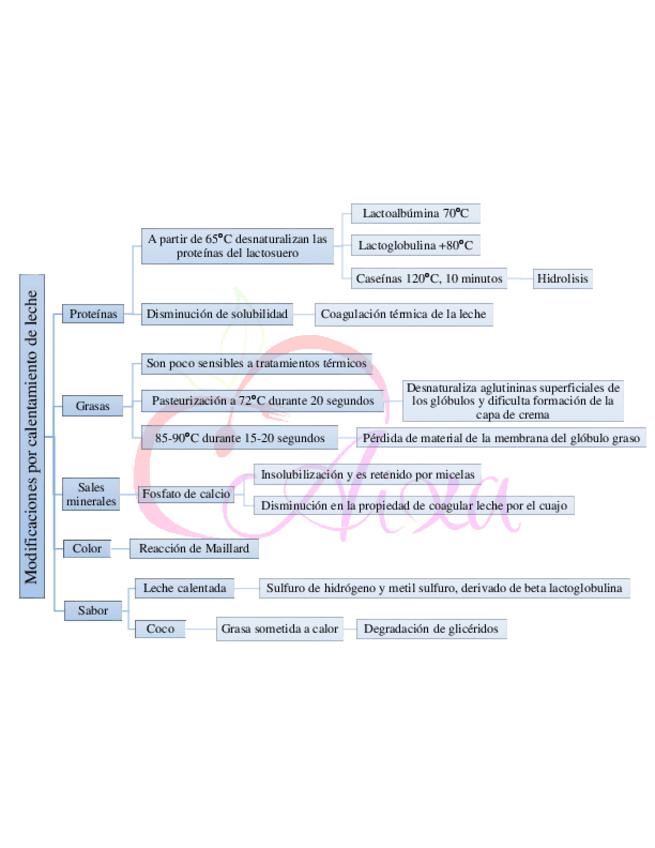 Miniatura del documento 13-Leche-2.pdf