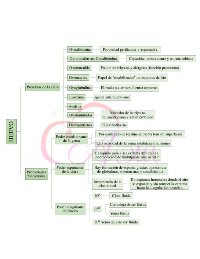 Miniatura del documento 11-huevo.pdf