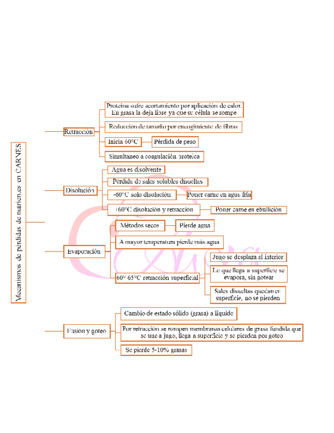 Miniatura del documento 15-mecanismo-de-perdida-de-nutrientes-carne.pdf