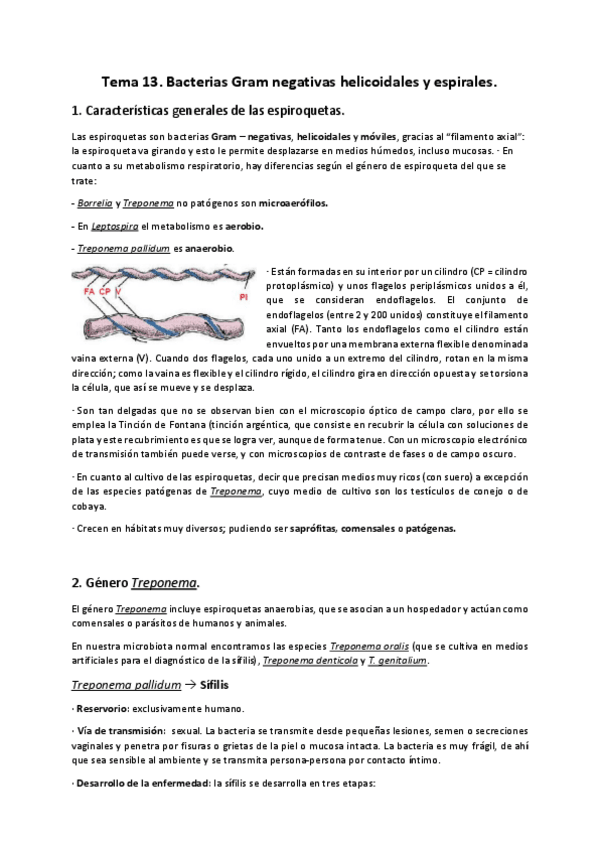 Miniatura del documento Tema 13.pdf