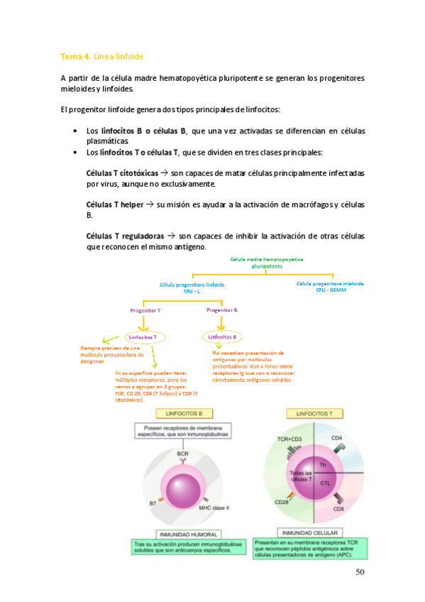Miniatura del documento Tema-4.pdf