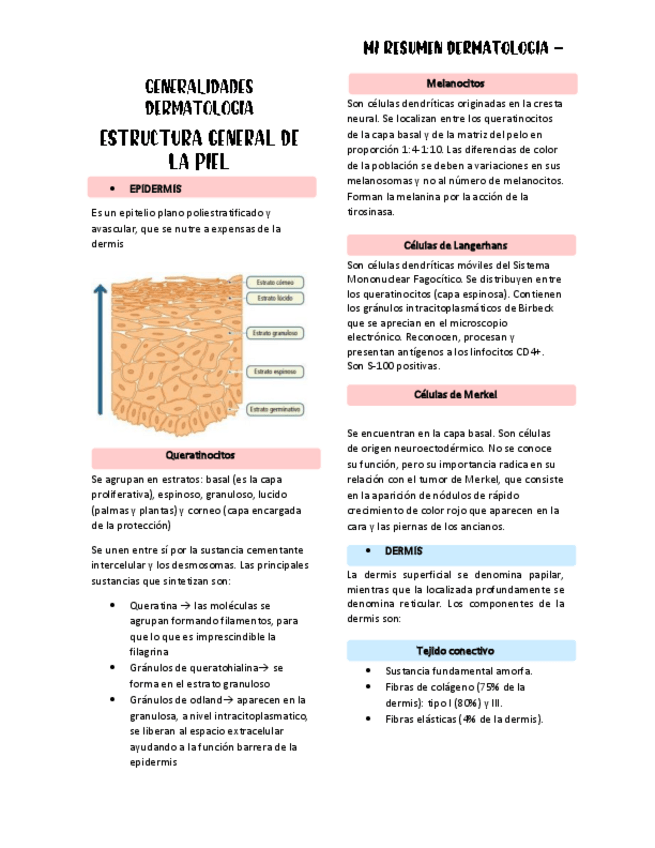 Miniatura del documento GENERALIDADES-DERMATOLOGIA.pdf